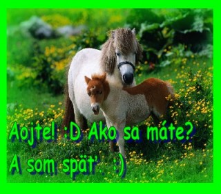 prevziať (2)