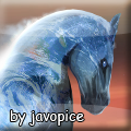d674301e42_89493842_o2