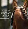 th_Horse1