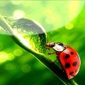 61e2cd392e_89079417_o2